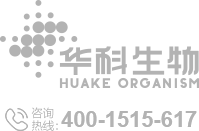 &#26032;&#21033;